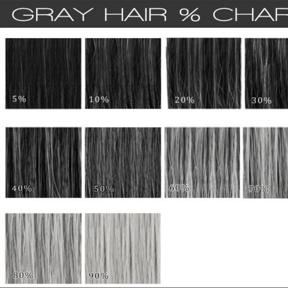 Silver Grey Hair Color Charts for Reference main image 6